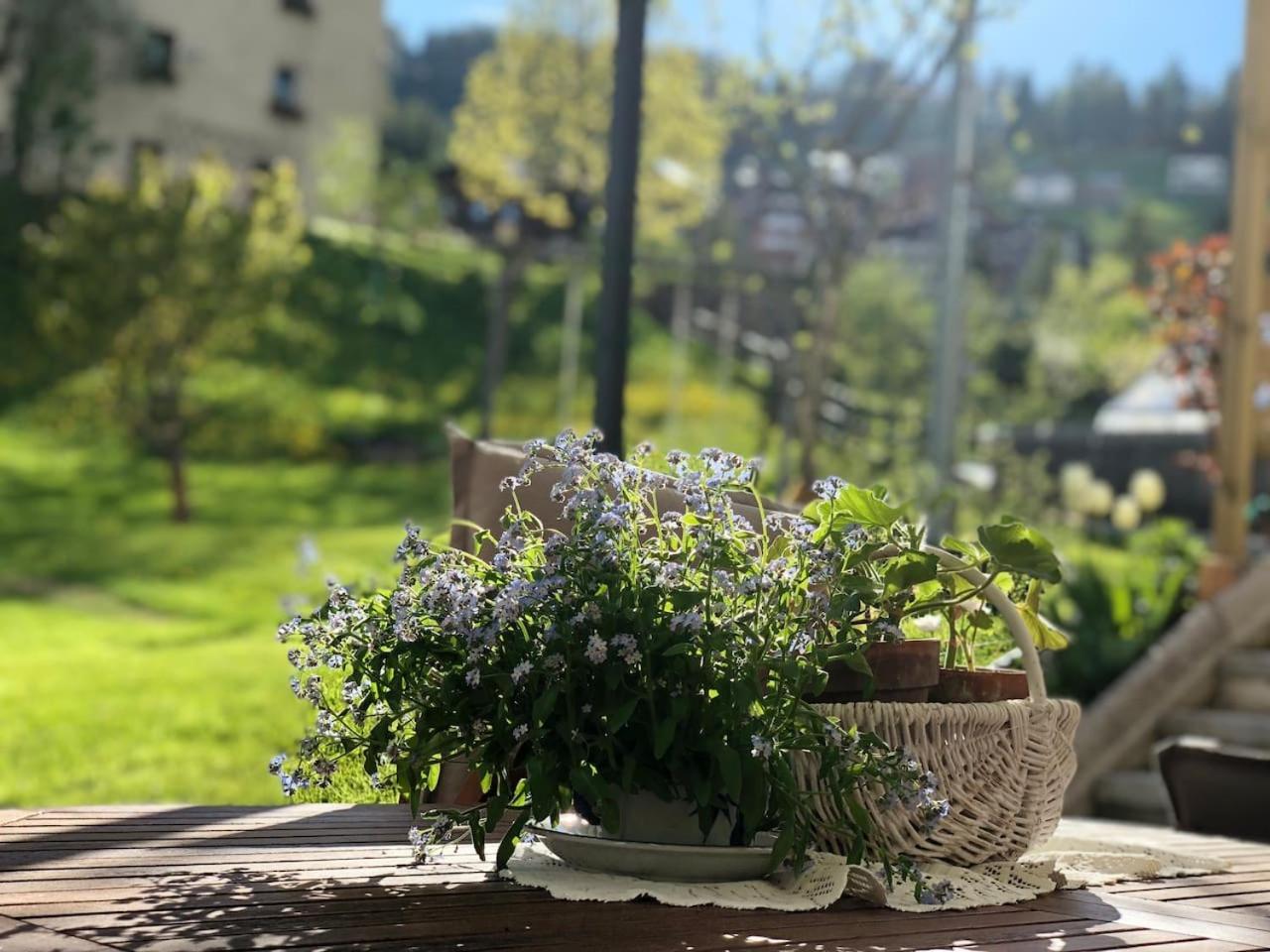 Dolomites Charme Chalet Colle Santa Lucia Kültér fotó